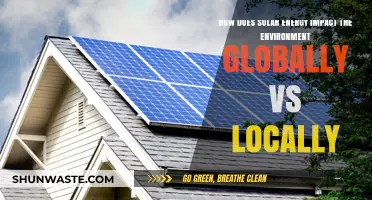 Solar Energy's Global and Local Environmental Impacts: A Comparative Analysis
