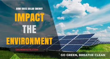 Solar Energy's Environmental Impact: Benefits, Challenges, and Sustainability