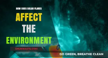Solar Flares: Environmental Impacts on Earth's Atmosphere and Ecosystems