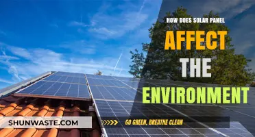 Solar Panels and the Environment: Benefits, Impacts, and Sustainability