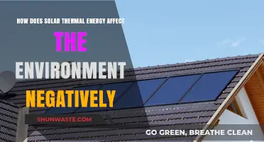 Solar Thermal Energy's Environmental Downsides: Uncovering Hidden Ecological Impacts
