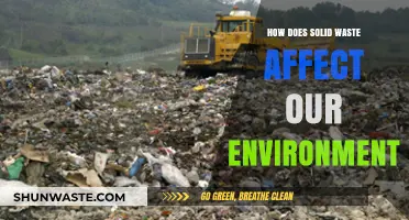 Solid Waste's Environmental Impact: Pollution, Health Risks, and Ecosystem Destruction