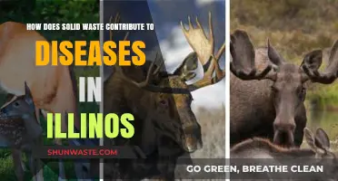 Solid Waste's Impact: Uncovering Disease Links in Illinois Communities