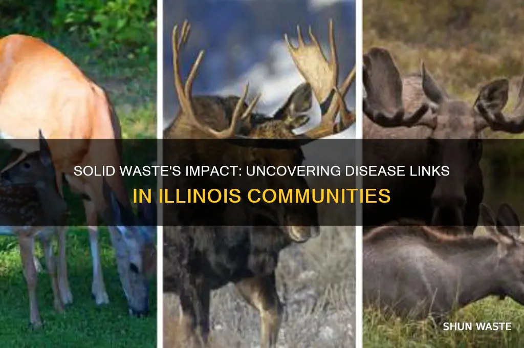 how does solid waste contribute to diseases in illinos
