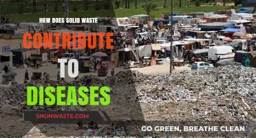Solid Waste's Hidden Dangers: Uncovering Disease Links and Health Risks