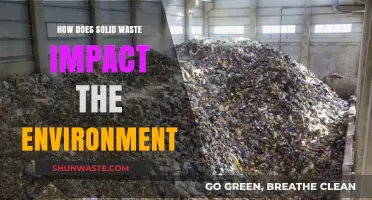 Solid Waste's Environmental Impact: Pollution, Habitat Loss, and Climate Change