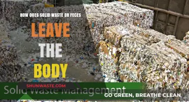 Understanding the Body's Natural Process of Eliminating Solid Waste