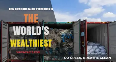 Wealth's Waste Crisis: Analyzing Solid Waste Production in Affluent Nations