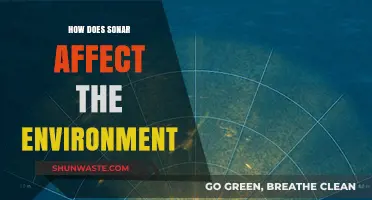 Sonar's Environmental Impact: Exploring Effects on Marine Life and Ecosystems