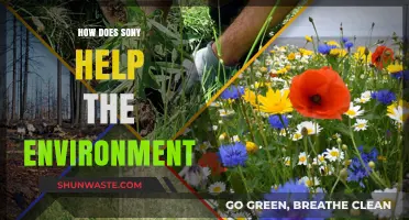 Sony's Eco-Friendly Initiatives: Sustainable Practices for a Greener Future