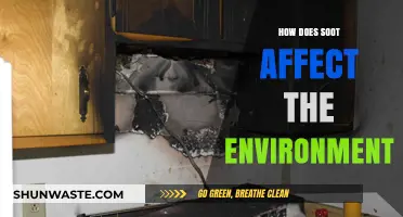 Soot's Environmental Impact: Pollution, Climate Change, and Health Risks Explained