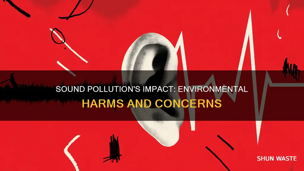 how does sound pollution affect the environment