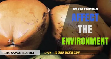 Sour Cream's Environmental Impact: Dairy Production and Sustainability Concerns