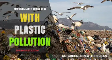 South Africa's War on Plastic Pollution