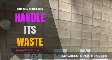 South Korea's Innovative Waste Management: Recycling, Technology, and Sustainability Strategies