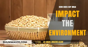 Soy Milk's Environmental Footprint: Sustainable Choice or Green Myth?