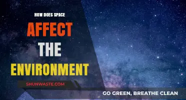 Space's Environmental Impact: Exploring Cosmic Influences on Earth's Ecosystems