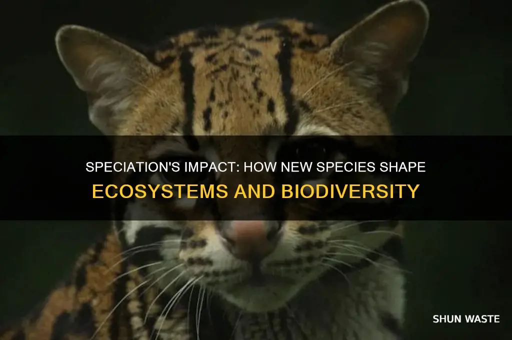 how does speciation affect the environment
