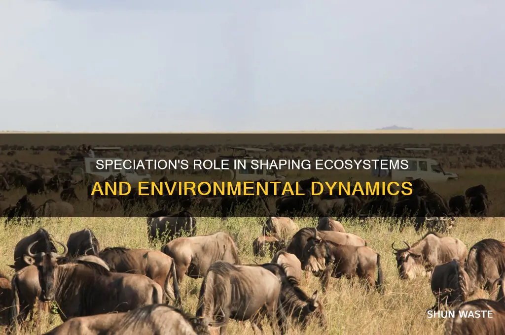 how does speciation impact teh environment