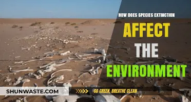 Species Extinction's Ripple Effect: Environmental Consequences and Ecosystem Imbalance