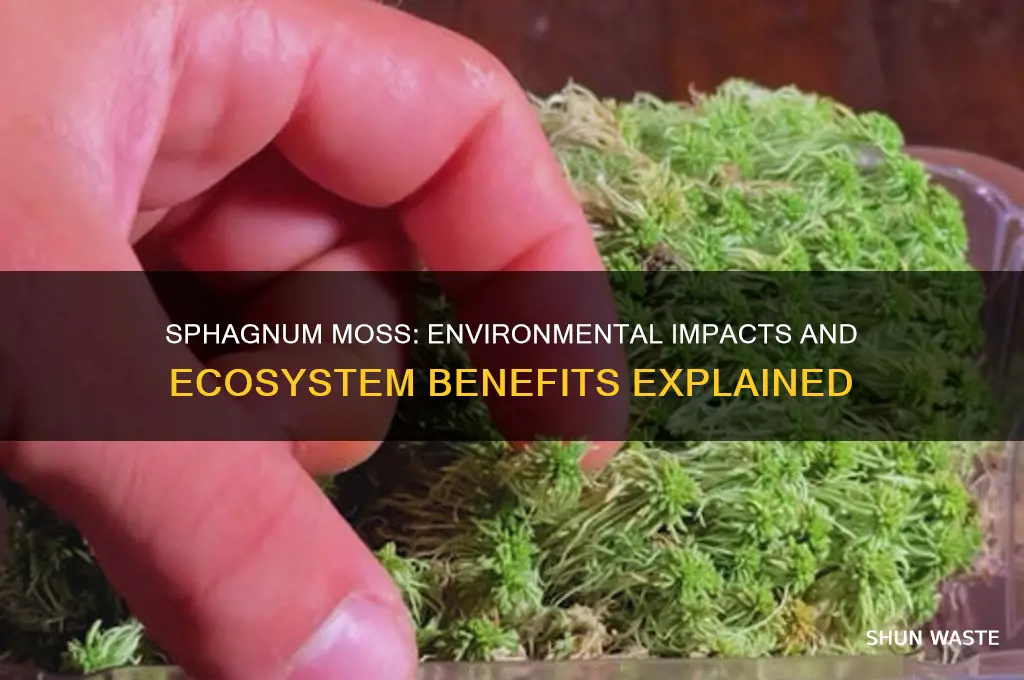 how does sphagnum moss affect the environment