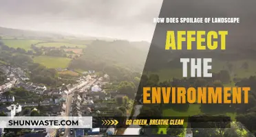 Landscape Spoilage: Environmental Impacts and Ecosystem Degradation Explained