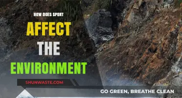 Sports' Environmental Impact: Sustainability Challenges and Green Solutions