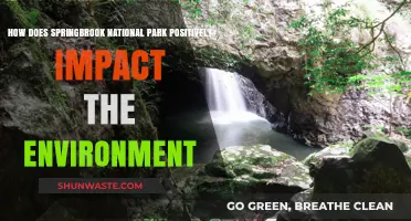 Springbrook National Park: A Vital Environmental Haven and Ecosystem Protector