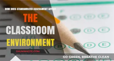 Standardized Testing's Impact: Shaping Classroom Dynamics and Learning Environments