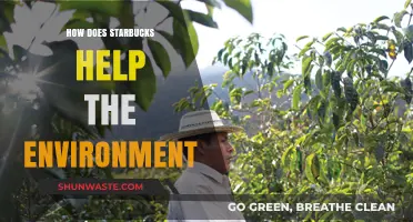 Starbucks' Green Initiatives: Sustainable Practices for a Healthier Planet