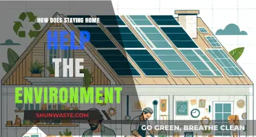Staying Home: Simple Eco-Friendly Habits for a Greener Planet