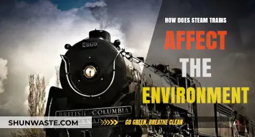 Steam Trains' Environmental Impact: Pollution, Carbon Footprint, and Sustainability Challenges