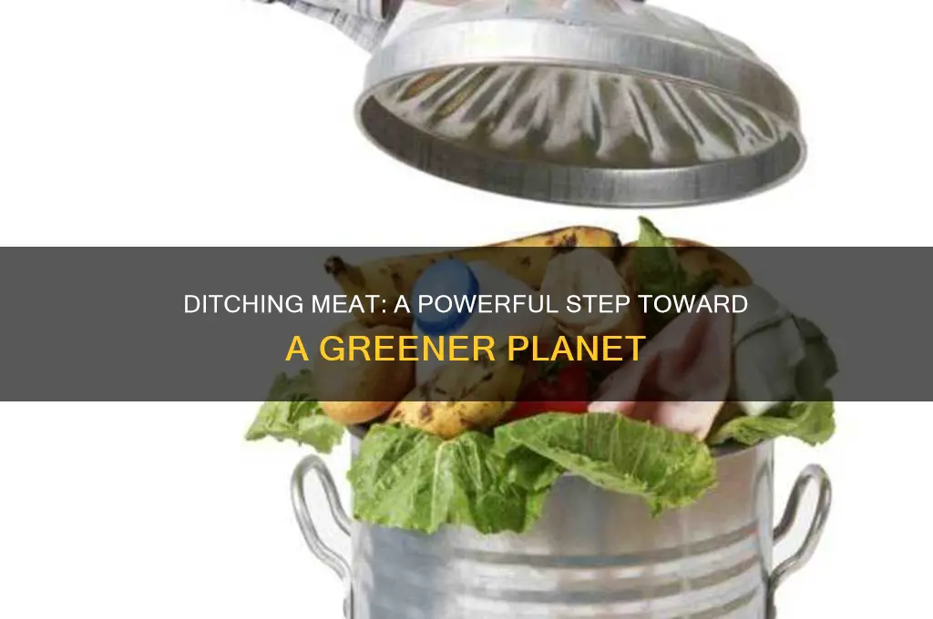how does stop eating meat help the environment