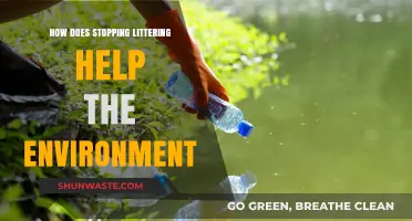 Ending Littering: A Simple Step to Protect Our Environment