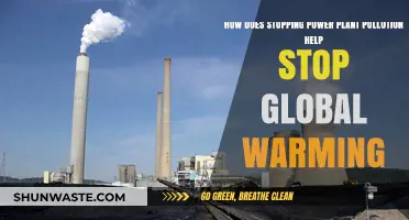 Power Plant Pollution: Global Warming's Worst Enemy