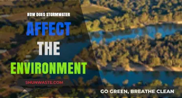 Stormwater's Environmental Impact: Pollution, Erosion, and Ecosystem Disruption Explained