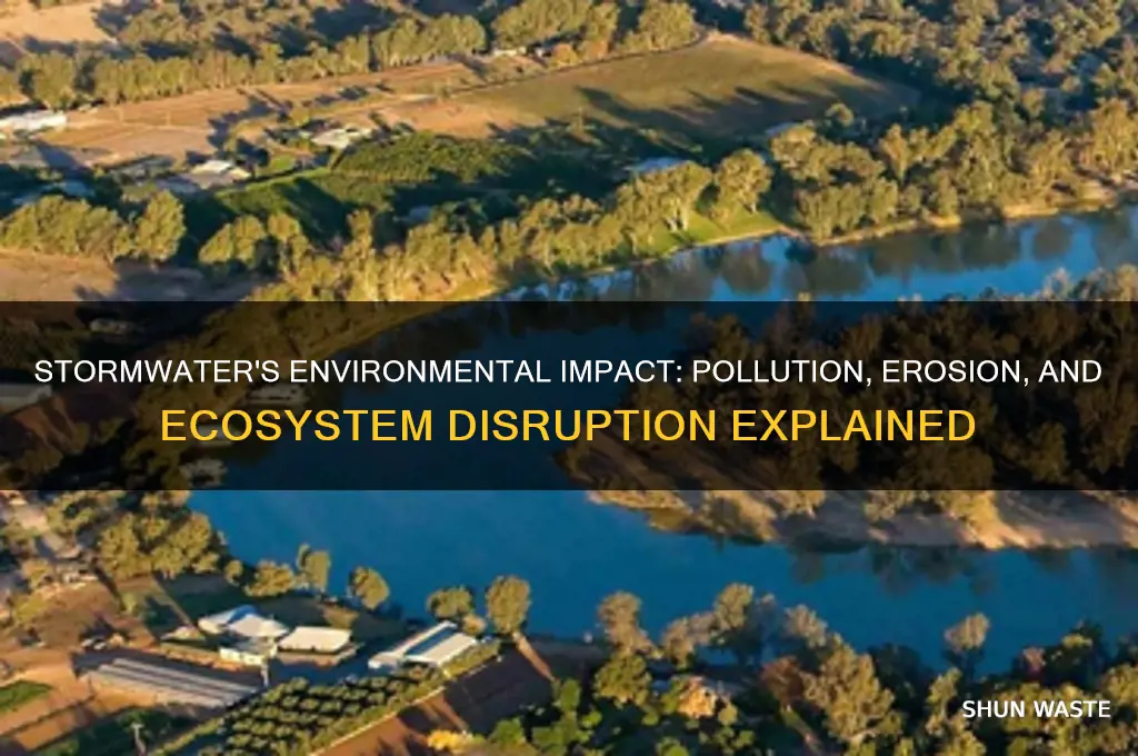 how does stormwater affect the environment