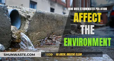 Stormwater Pollution: Environmental Impact and Solutions