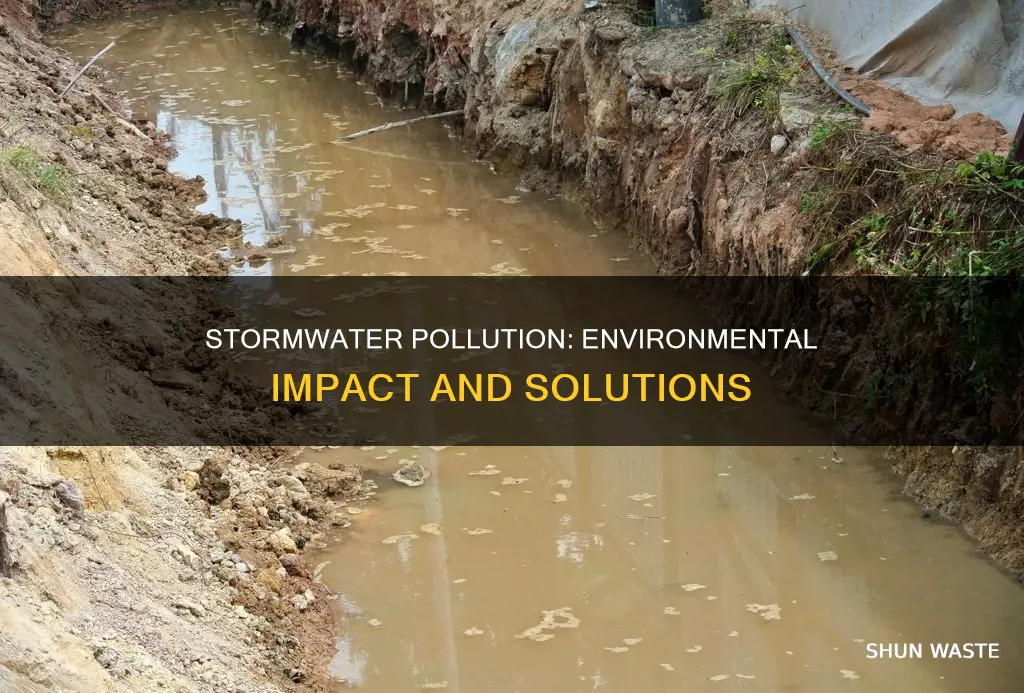 how does stormwater pollution affect the environment