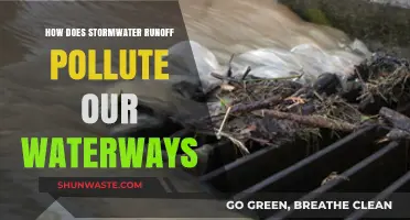 Stormwater Runoff: Polluting Our Waterways and Environment