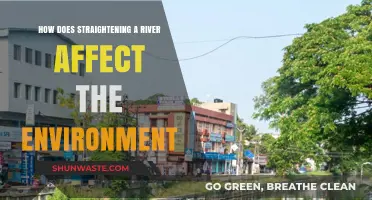 River Straightening: Environmental Impacts and Ecosystem Disruption Explained