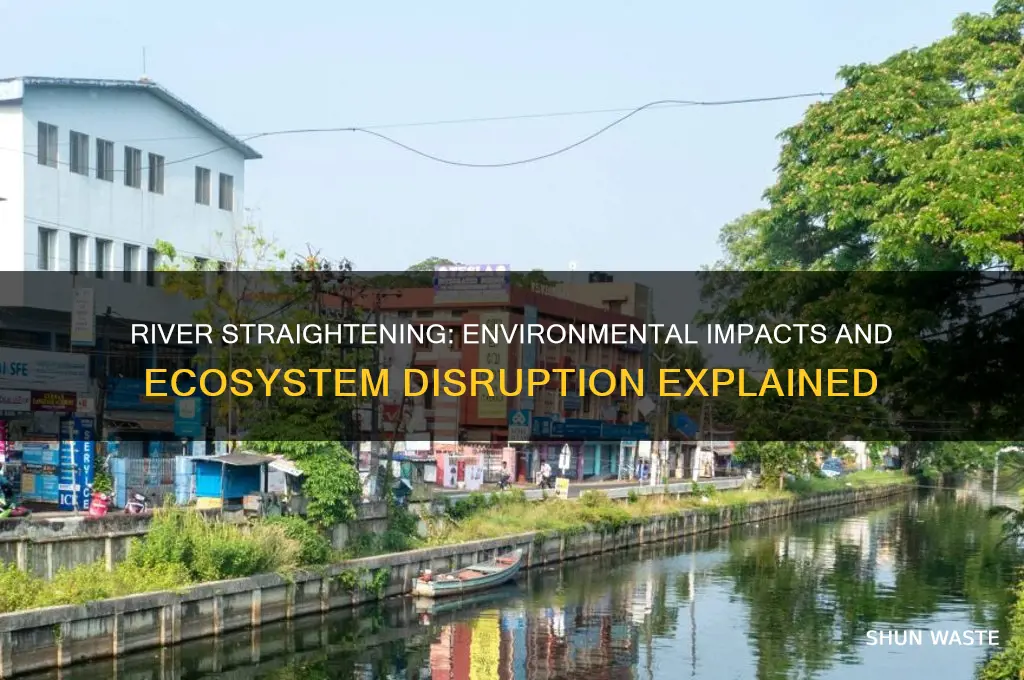 how does straightening a river affect the environment