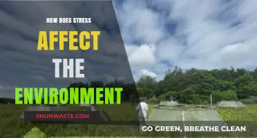 Stress's Ecological Impact: How Human Pressure Alters Our Environment