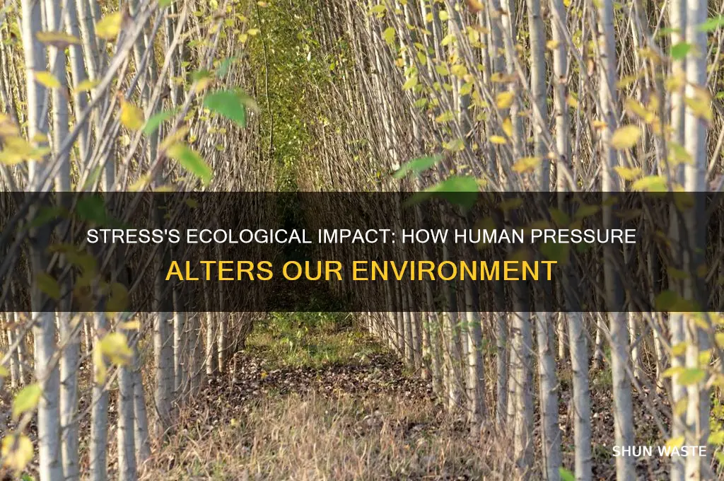 how does stress affect the environment