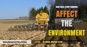 Strip Farming's Environmental Impact: Soil, Water, and Biodiversity Effects