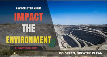 Strip Mining's Devastating Environmental Impacts: Land, Water, and Ecosystems at Risk