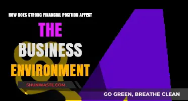 Strong Financial Position: Shaping Business Environment and Driving Growth