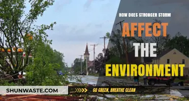 Stronger Storms' Devastating Environmental Impacts: A Comprehensive Analysis