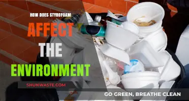 Styrofoam's Environmental Impact: Pollution, Wildlife Threats, and Sustainable Alternatives