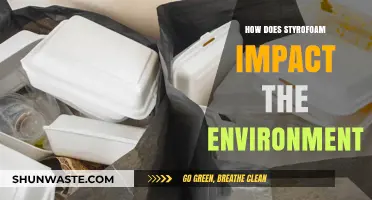Styrofoam's Environmental Impact: Pollution, Wildlife Threats, and Sustainability Challenges